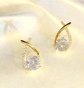 Fishtail Earing