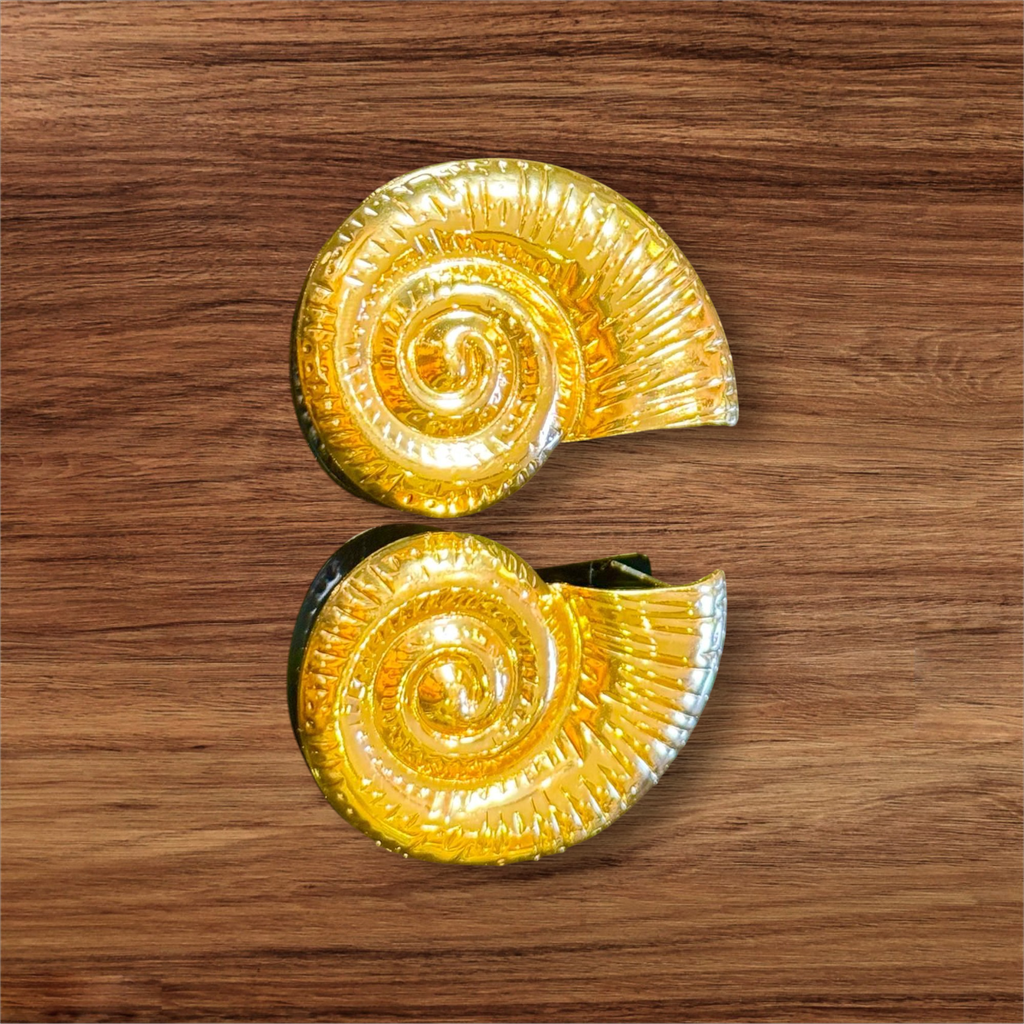 Shell Statement