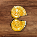Shell Statement