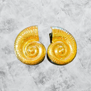 Shell Statement